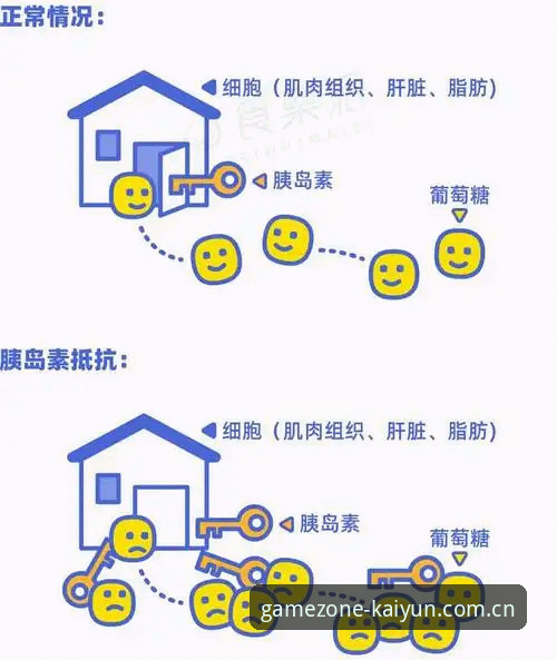 2026KAIYUN使用教程 vs 旧版登录路径：kaiyun平台新版APP与v3.5入口变更全面对比